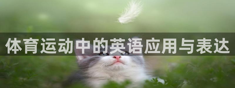 oety欧亿