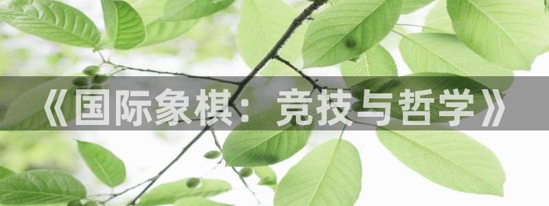 oety欧亿