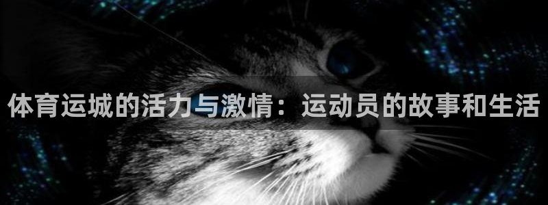 oety欧亿