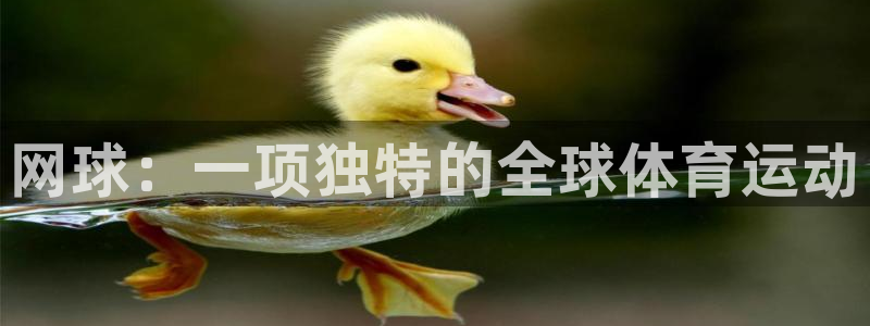 oety欧亿