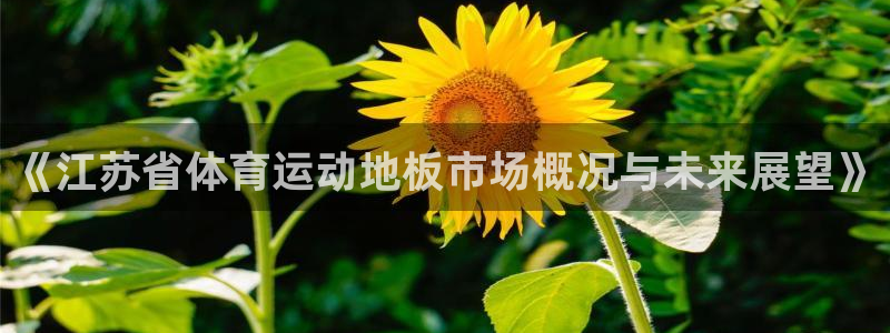oety欧亿